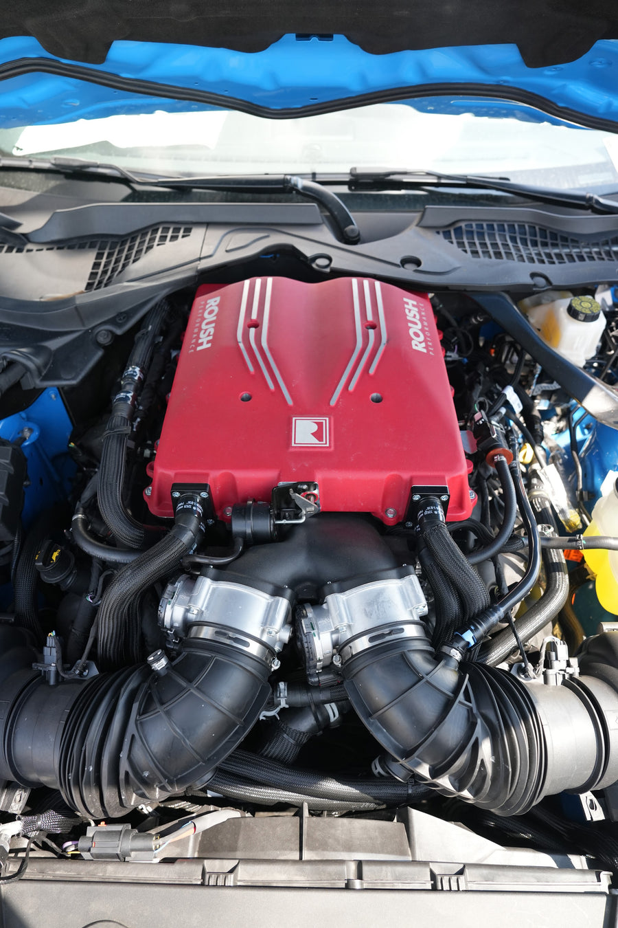 Roush supercharged Mustang Sleeper at TCcustoms
