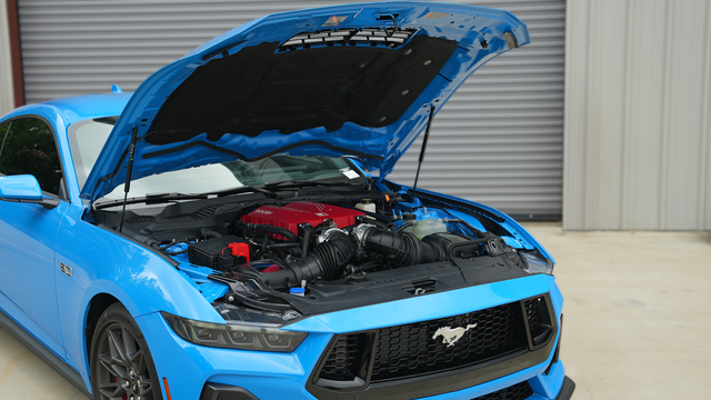 Custom Mustang build by TCcustoms