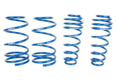 Roush 2005-2014 Ford Mustang Lowering Springs