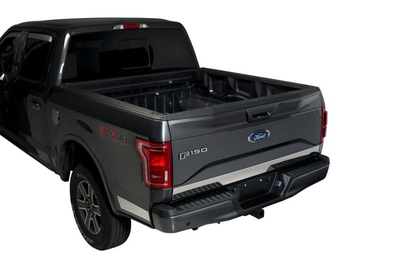 Putco 15-20 Ford F-150 - Stainless Steel - Lower Tailgate Accent - 1 pc Tailgate Accents