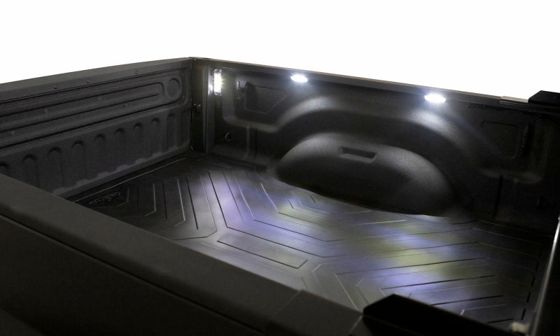 Lund 2015-2019 Ford F-150 NightFX Guide Lights - Black